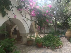 VILLA VERTE ZONE SINDBAD