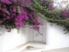 Villa Bougainvillie RefA Baraket Essahel Hammamet