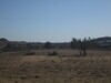 Terrain 2hectares et 4000m à sidi jdidi Hammamet