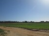 Terrain 3 hectares et 5000m à borj Hfaith
