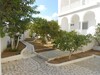 for sale beautiful villa in Hammamet
