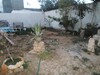 for rent beautiful apartment in North hammamet