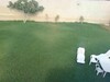 Riu House