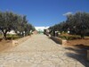 for sale beautiful villa with large garden in hammmamet