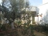 Un affaire Villa el fel inachevé à 10min de Hammamet Sud