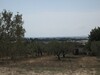 AV terrain à Fawara Hammamet 1000m