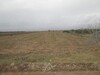 AV terrain nu 18600m à sidi said