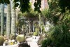 for sale a beautiful villa with beautiful garden in hammamet