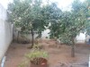 Av jolie maison style arabe situé dans un quartier calme