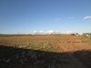 AV terrain agricole à sidi hamed