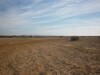 AV terrain agricole à douikhla Hammamet