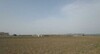 AV Terrain 300m à dwikhla 10min de Hammamet Sud