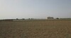 Terrain 450m à dwikhla 10min de Hammamet Sud
