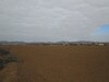 à dwikhla Hammamet terrain 6 hectares