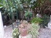 Al jolie villa RC au centre ville hammamet