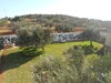 for sale beautiful house in companion to hammamet