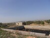 ferme 250 HECT a 15 KM de hammamet