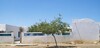 4 maison sur 4 hectares a hammamet