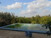 AL villa de compagne entourée par la nature