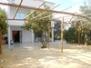 AL belle villa avec terrasse spacieux à hammamet