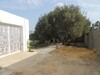 a small Arab House on high ground in hammamet