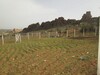 une occasion terrain 200m à 10min de Hammamet Sud