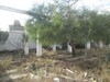 Field 9800 m in North Hammamet more building