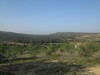 Field 2000 agricultural m in a residential area