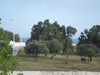 for sale bungalow in a residential area close to the sea