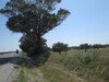 Terrain 4 hectares 600m sur la route  bouficha Sousse