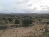 AV terrain agricole de 250 hectares à lenderia