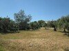 Terrain 1000m a 10min de Hammamet