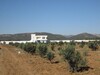 un affaire AV senia 44000m à friguia Sousse