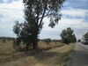 Terrain 2 hectares et 5000m sur la route G