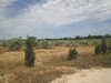 3 hectares à 5min de bouficha Sousse