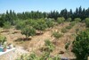 Agréable senya avec une maisonnette et piscine dans la compagne