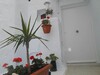 av petit appartement au cœur de centre ville hammamet