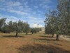 AV terrain 500m à Hammamet nord