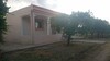 superbe villa de campagne a 15 min de hammamet