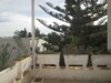 Appartement spacieux avec terrasse à Hammamet Nord