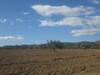 Land agricultural 2 hectare at sidi Kristin 20 minutes from Hammamet Hammamet