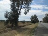 Terrain 2 hectares avec une grande façade sur la route G