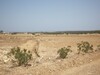 Terrain agricole avec vue mer à 25min de Yassmine Hammamet