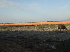 Terrain 8 hectares à SolimanNabeul