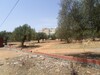 to sell a lot of 500 located in barekt sahel