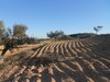 Av 2 hectar un offre d'or