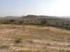 Av une ferme de 250 hectares près de Hammamet