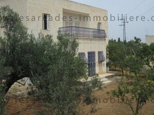 Terrain 4100m avec maison à Nabeul