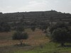 Av une ferme de 250 hectares proche de Hammamet