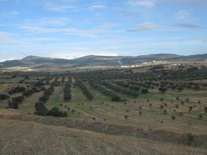 Terrain 5 hectares à Hatous